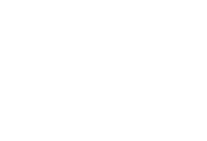 DK LOGO white logo